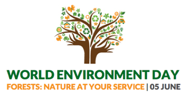 world-environment-day-graphics-5